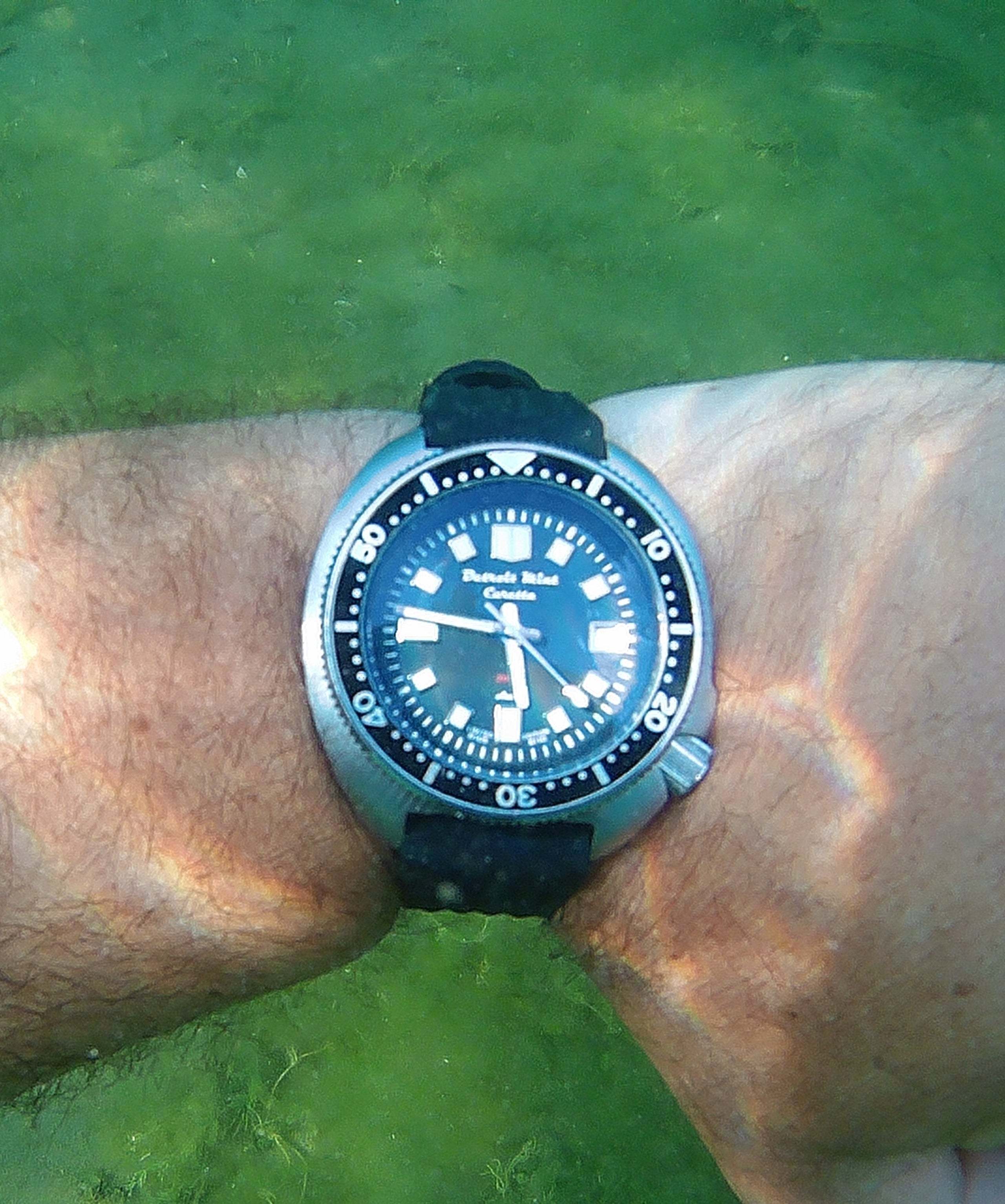 Detroit Mint Caretta Turtle Diver Watch Captain Willard 6105 Seiko NH35A |  Detroit Mint